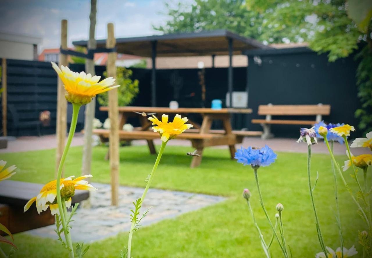 Flamingo Studio'S Zeeland Schoondijke Exterior foto
