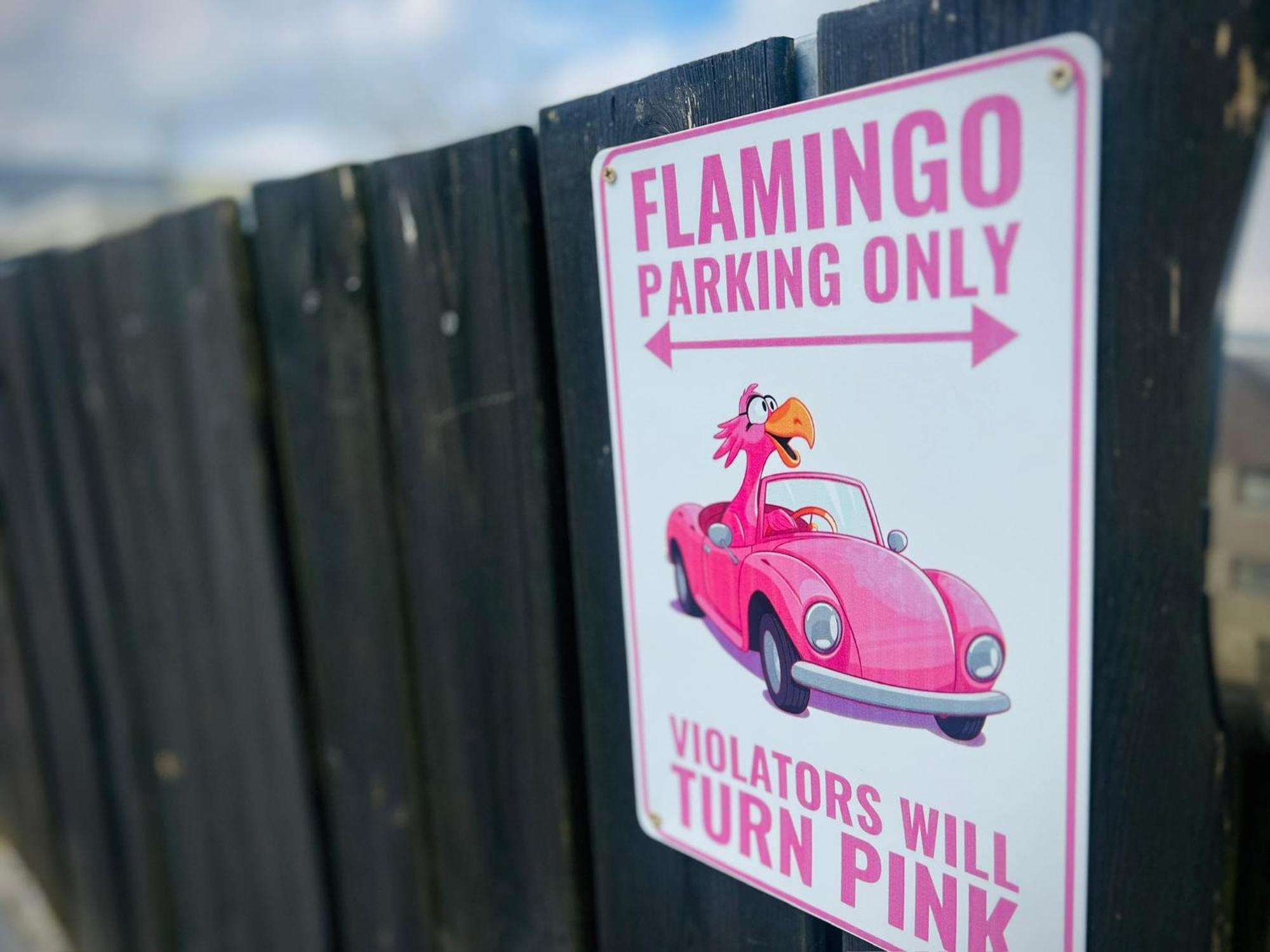 Flamingo Studio'S Zeeland Schoondijke Exterior foto